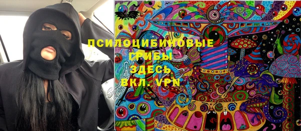 ECSTASY Пересвет
