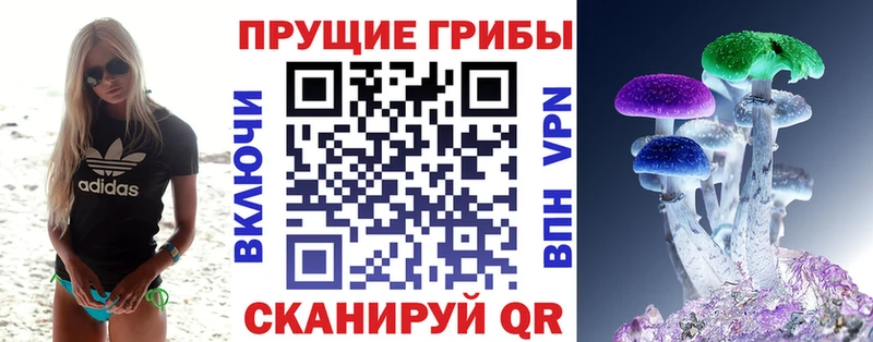 Галлюциногенные грибы Magic Shrooms  ОМГ ОМГ онион  Ужур 